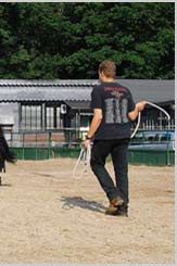 Pferde sind Fluchttiere und Herdentiere, die ein Leittier brauchen. 